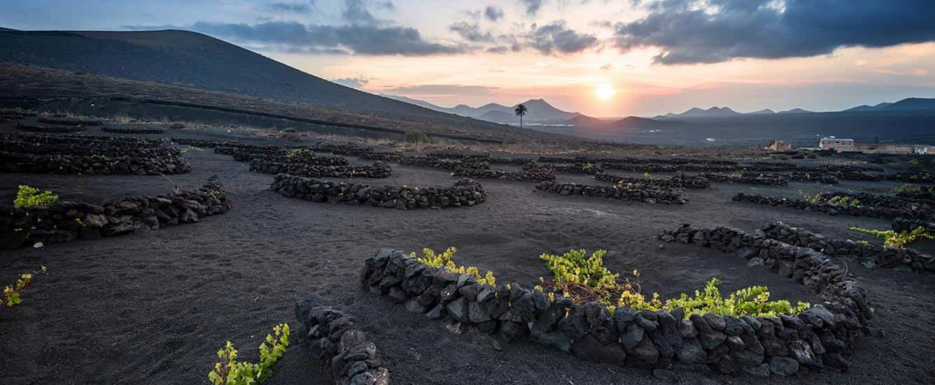 La Geria Weingebiet Lanzarote